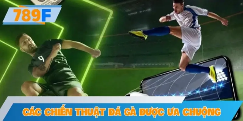 Các chiến thuật đá gà được hội viên ưa chuộng