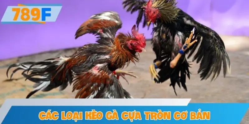 Các loại kèo gà cựa tròn cơ bản mà cược thủ phải biết