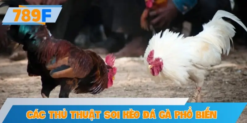 Các thủ thuật soi kèo đá gà phổ biến hiện nay