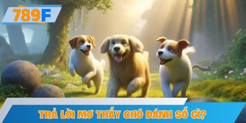 Các trường hợp mơ thấy chó đánh số gì và gợi ý cụ thể