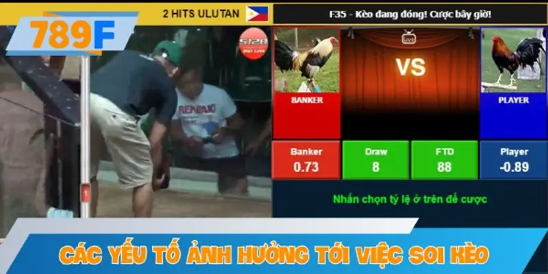 Các yếu tố ảnh hưởng tới việc soi kèo theo phong độ gà