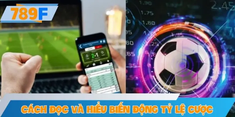 Cách đọc và hiểu biến động tỷ lệ cược hiệu quả