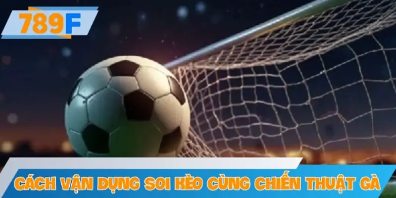 Cách vận dụng soi kèo song hành cùng chiến thuật gà