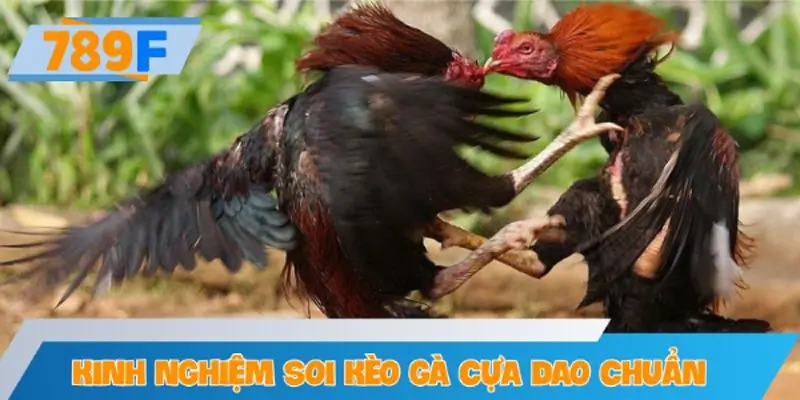 Cần nắm vững các loại hình