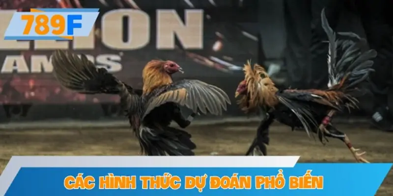 Cửa Wala