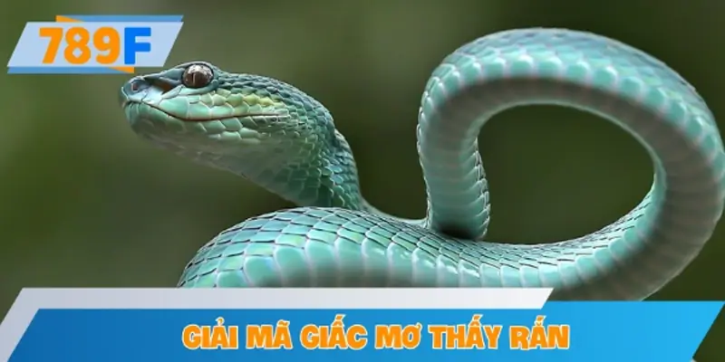 Giải mã ý nghĩa giấc mơ thấy rắn theo góc nhìn tâm linh