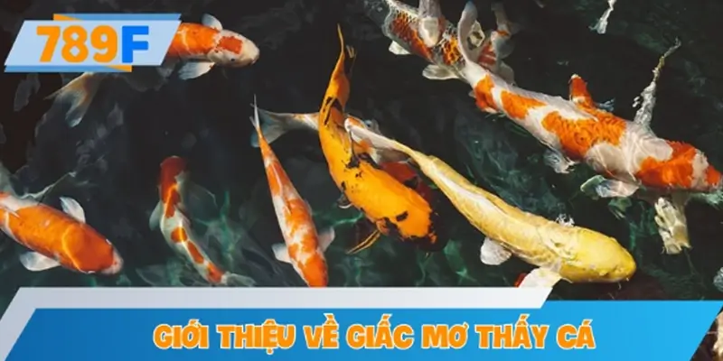 Giới thiệu về hiện tượng mơ thấy cá