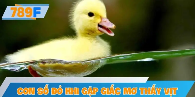 Gợi ý con số đỏ khi gặp giấc mơ thấy vịt