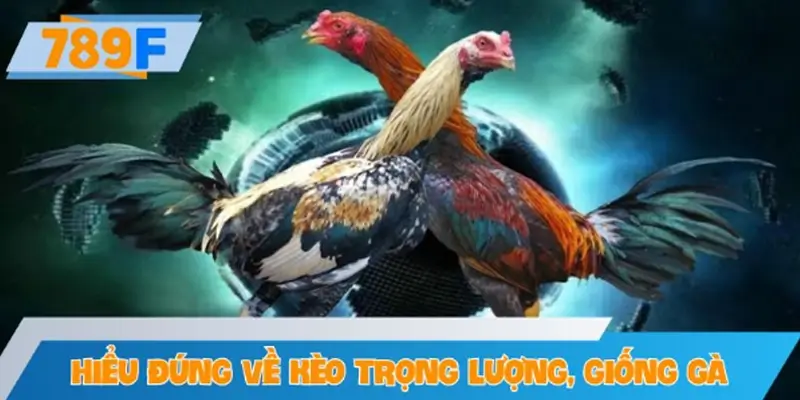 Hiểu đúng về kèo cược theo trọng lượng và giống gà