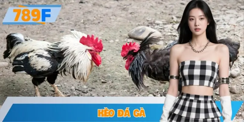 Hướng Dẫn Cách Đọc Kèo Đá Gà Cơ Bản Cho Người Mới Tại 789F