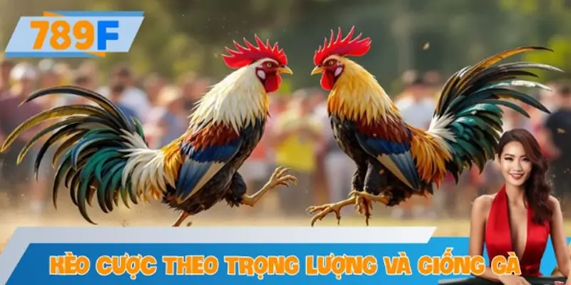 Kèo Cược Theo Trọng Lượng Và Giống Gà Tại 789F Cực Hot
