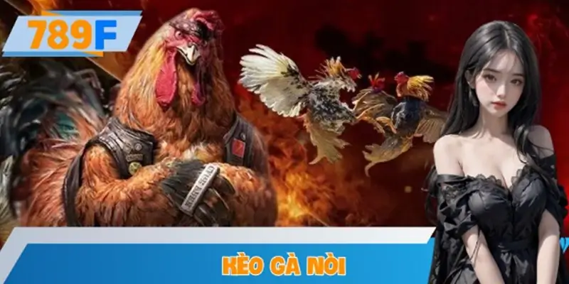 Kèo Gà Nòi – Chiến Thuật Đặt Cược Hiệu Quả Tại 789F