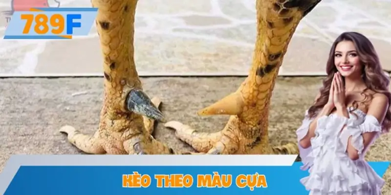 Kèo Theo Màu Cựa – Bí Quyết Người Chơi Lâu Năm Tại 789F