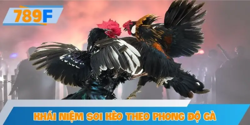 Khái niệm soi kèo theo phong độ gà