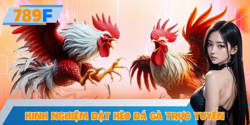 Kinh Nghiệm Đặt Kèo Đá Gà Trực Tuyến Tại 789F