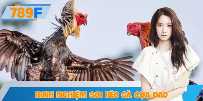 Kinh nghiệm soi kèo gà cựa dao chuẩn xác ở 789F