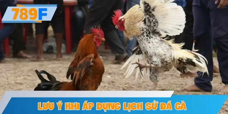 Lưu ý khi áp dụng lịch sử đá gà để đặt kèo