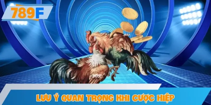 Lưu ý quan trọng khi cược hiệp trong đá gà trực tuyến