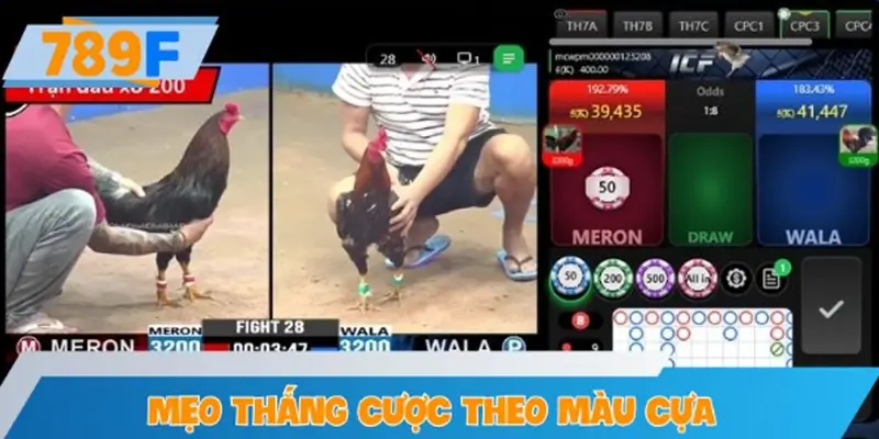 Mẹo tăng tỷ lệ thắng khi cược theo màu cựa