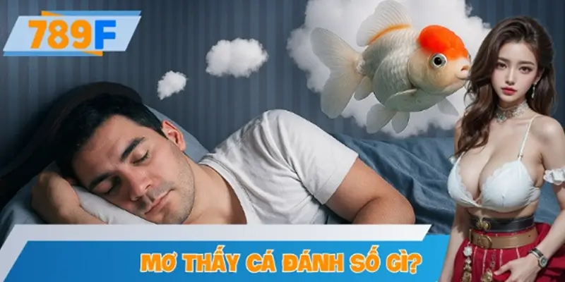 Mơ Thấy Cá Đánh Số Gì? Giải Mã Giấc Mộng Và Ý Nghĩa Tâm Linh
