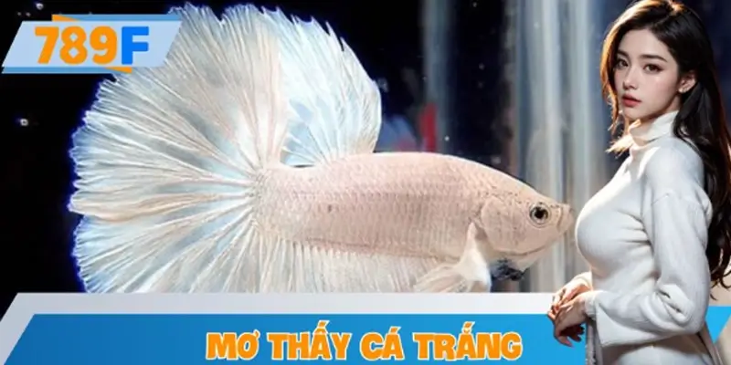 Mơ Thấy Cá Trắng: Giải Mã Điềm Báo Và Dự Đoán Tài Lộc
