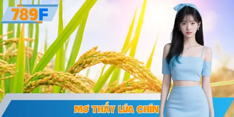 Mơ Thấy Lúa Chín Ý Nghĩa Gì? Đánh Con Số May Mắn Gì? Ở 789F