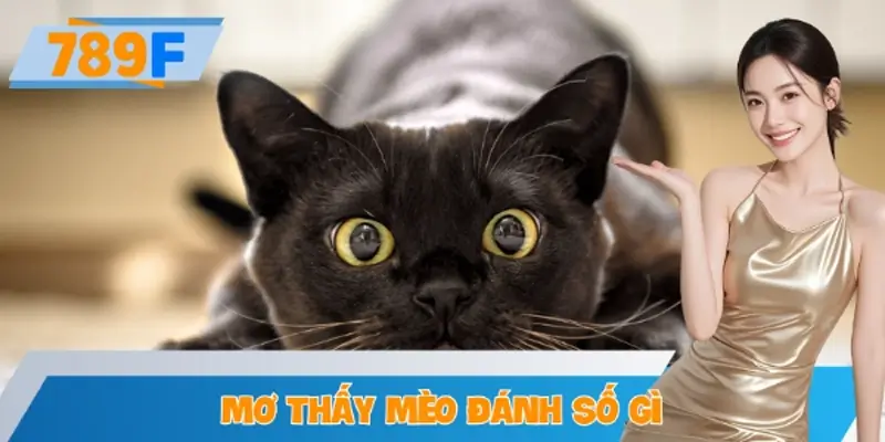 Mơ Thấy Mèo Đánh Số Gì Tại 789F Để Nhận Thưởng Khủng