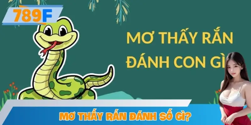 Mơ Thấy Rắn Đánh Số Gì Tại 789F Để Trúng Thưởng Lớn