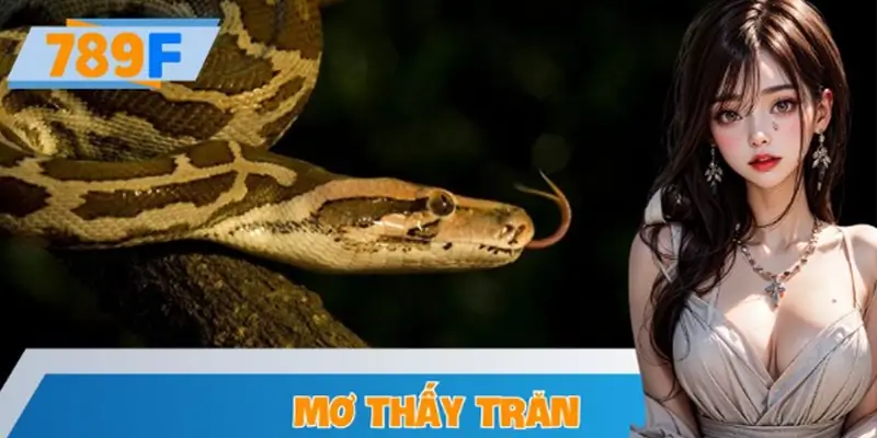 Mơ Thấy Trăn – Con Số May Mắn Mà Bạn Không Nên Bỏ Qua