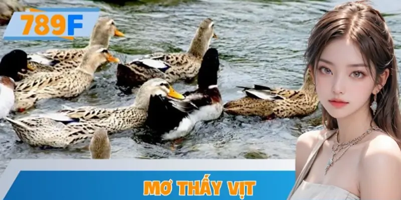 Mơ Thấy Vịt – Nên Đánh Con Gì Để Mang Lại Tài Lộc?