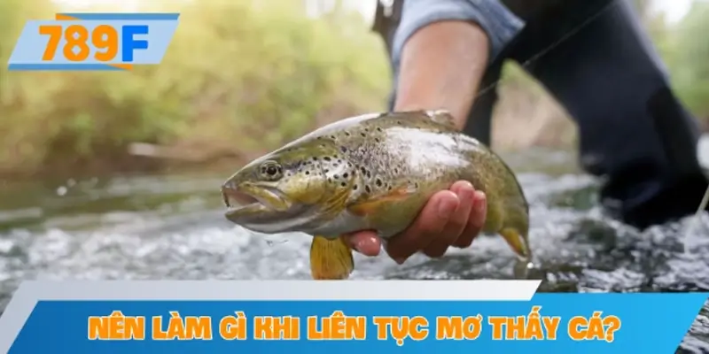 Nên làm gì khi liên tục mơ thấy cá?