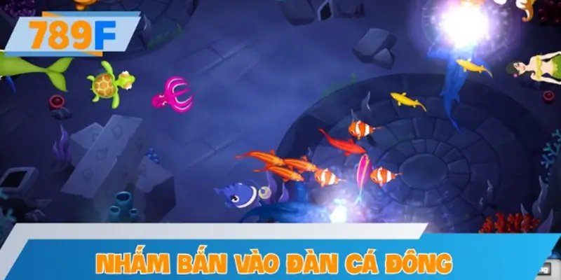 Nhắm bắn vào đàn cá đông để tối ưu điểm thưởng