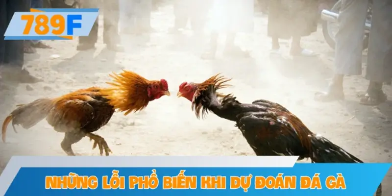 Những lỗi phổ biến của người chơi khi dự đoán đá gà