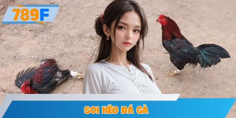 Những Sai Lầm Phổ Biến Khi Soi Kèo Đá Gà Tại Nhà Cái 789F