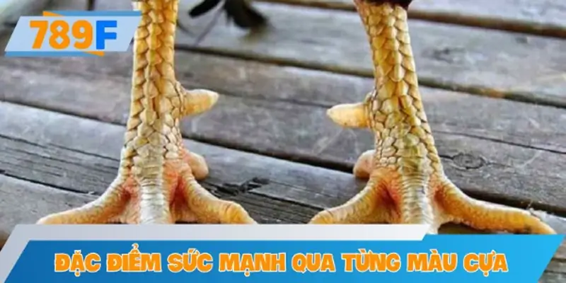 Phân tích đặc điểm sức mạnh qua từng màu cựa