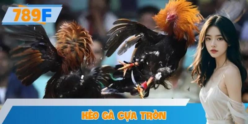 Phân Tích Kèo Gà Cựa Tròn – Chiến Thuật Chơi Hiệu Quả Tại 789F