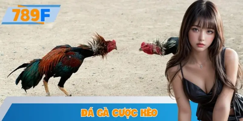Quản Lý Vốn Khi Tham Gia Đá Gà Cược Kèo Tại Nền Tảng 789F