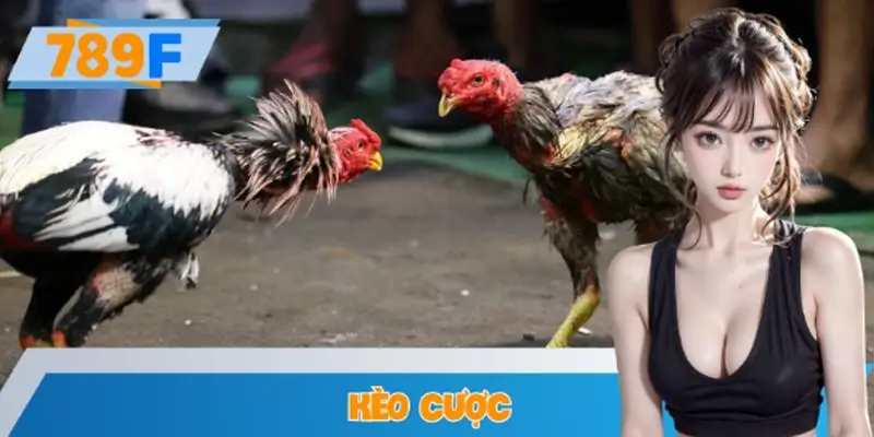 Tổng Hợp Các Loại Kèo Cược Theo Sàn Đấu Trường Đá Gà Tại 789F