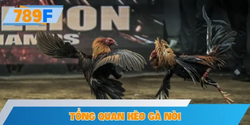 Tổng quan kèo gà nòi trong trải nghiệm cược