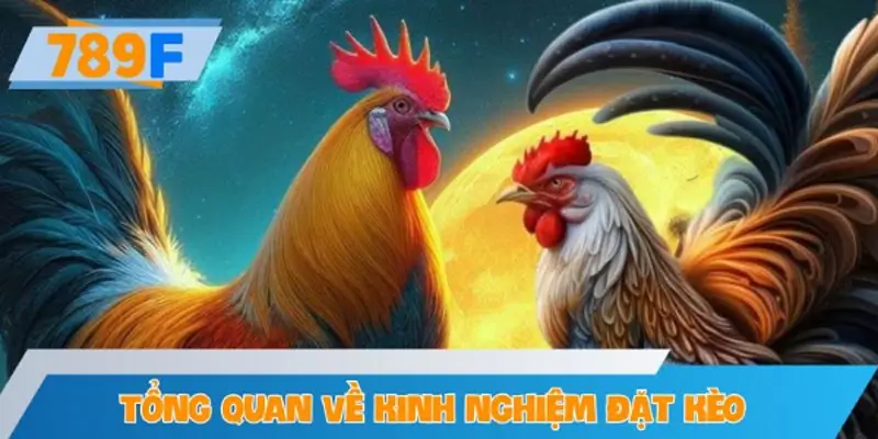 Tổng quan về kinh nghiệm đặt kèo đá gà trực tuyến