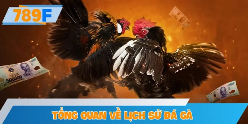 Tổng quan về lịch sử đá gà